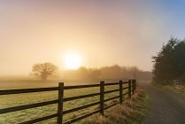 Foggy morning in a farm in english countryside at sunrise with trees — Stock Photo
