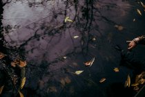 El otoño es un tiempo inolvidable de misterio en el aire - foto de stock