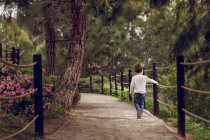 Junge geht im Park spazieren — Stockfoto