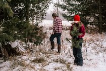 Menino e menina em um campo coberto de neve reunindo ramos de pinheiro — Fotografia de Stock