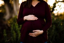 Femme enceinte posant dans le parc — Photo de stock