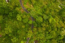 Top down overhead aerial view of asphalt road leading through lush green jungle Curved rural road through the rainforest HQ — Stock Photo
