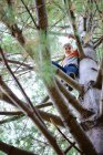 Menino loiro jovem feliz de pé em um pinheiro. — Fotografia de Stock