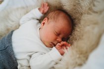 Adorável bebê recém-nascido branco dormindo em Moisés cesta com tapete aconchegante — Fotografia de Stock