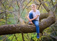 Happy young blond boy outdoors sitting in a tree. — Stock Photo
