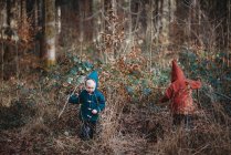 Crianças andando na floresta usando jaquetas de lã no dia de inverno — Fotografia de Stock