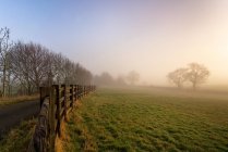 Nebeliger Morgen auf einem Bauernhof in englischer Landschaft bei Sonnenaufgang mit Bäumen — Stockfoto