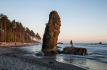 A highlight of the Olympic National Park is Ruby Beach. Tourists enjoy the rugged coast and cold water. — Stock Photo