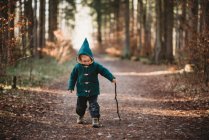 Kleines Kind geht an einem sonnigen Herbsttag mit Stock im Wald spazieren — Stockfoto