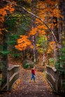 Boy walking on dirt trail in the woods in a park during autumn — Stock Photo