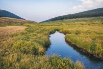 Schöner Fluss in den Bergen — Stockfoto