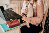 Mujer joven acaricia a su gato mientras ella está trabajando desde casa - foto de stock