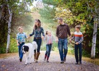Família feliz de cinco andando estrada rural com cão grande. — Fotografia de Stock