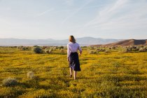 Giovane donna nel campo con fiori in posa — Foto stock