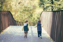 A rear view of two toddler boys walking in autumn park across bridge — Stock Photo