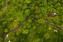 Top down aerea vista aerea di una macchina che guida sulla strada asfaltata attraverso lussureggiante giungla verde Auto sulla strada passando casa rurale nella foresta pluviale a Bali, Indonesia HQ — Foto stock