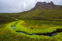 Источник пресной воды, выложенный свежим мхом в Исландии — стоковое фото