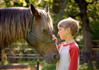 Rapaz bonito a olhar para o cavalo com a mão na cabeça. — Fotografia de Stock