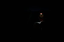 Livro de leitura de homem com luz de farol durante a noite no Parque Nacional de Canyonlands — Fotografia de Stock