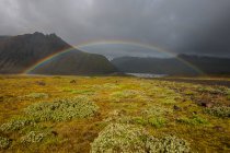 Arcobaleno sul prato nel sud dell'Islanda — Foto stock