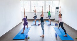 Yogalehrer unterrichtet Gruppe in Yangshuo — Stockfoto