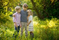 Tres afectuosos niños rubios de pie juntos en un prado dorado - foto de stock