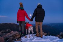 Visão traseira do casal de mãos dadas em pé com o cão no pico da montanha durante o inverno ao anoitecer — Fotografia de Stock
