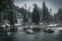 Homem voa pesca enquanto está em pé no rio contra árvores durante o inverno — Fotografia de Stock
