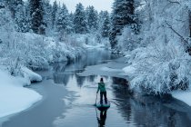 Жінка веслування на річці серед снігових покритих дерев під час відпустки — стокове фото