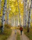 Vue arrière de la femme marchant avec un chien au milieu des arbres d'automne en forêt pendant les vacances — Photo de stock
