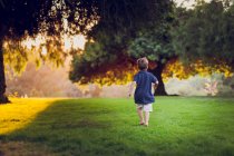 Little boy playing  in the park — Stock Photo