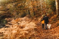 Задний вид отца, обнимающего сына и собаку, идущих по тропинке осенью — стоковое фото
