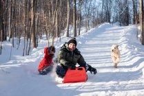 Pai e filho escorregando para baixo colina nevada com seu cão no dia de inverno. — Fotografia de Stock