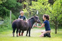 Mother and little boy with a black pony. — Stock Photo