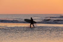 Un surfista caminando por la orilla al atardecer - foto de stock