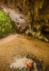 Young man climbing overhanging rock face in forest at Railay beach — Stock Photo