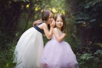 Симпатична дівчинка шепоче секрет своїй сестрі . — стокове фото