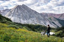 Randonneur femelle avec chien regardant la vue depuis la montagne contre le ciel nuageux — Photo de stock