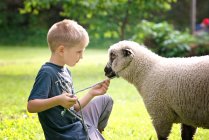 Cute little blond boy with a lamb outdoors. — Stock Photo