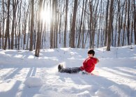 Niño pequeño bajando en trineo por una colina nevada en una zona boscosa en un día soleado. - foto de stock