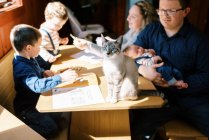 Семейный кот сидит на столе с детьми и родителями вокруг вместе — стоковое фото