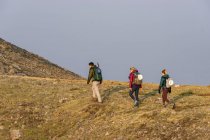Männliche und weibliche Freunde wandern im Urlaub gemeinsam am Berg — Stockfoto