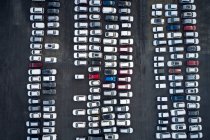 Drone view of many new automobiles parked on paved yard of modern shipping industry — Stock Photo