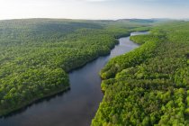 Vista aérea del río en el bosque sobre el fondo natural - foto de stock