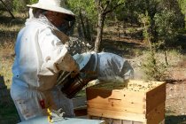 Apiarista che lavora con le tue api per ottenere miele dolce — Foto stock