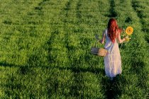 Молодая женщина позирует в зеленом поле — стоковое фото