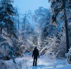 Randonneur en silhouette dans la forêt enneigée du Vermont la nuit — Photo de stock