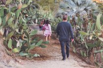 Familia de cuatro caminando por un sendero de cactus - su espalda a la cámara. - foto de stock