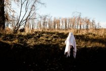 Un bambino in costume da fantasma che corre in un parco in autunno durante il giorno — Foto stock