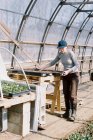 Commercial female flower farmer picking up trays in greenhouse — Stock Photo